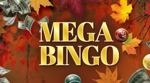 Image of Mega Bingo