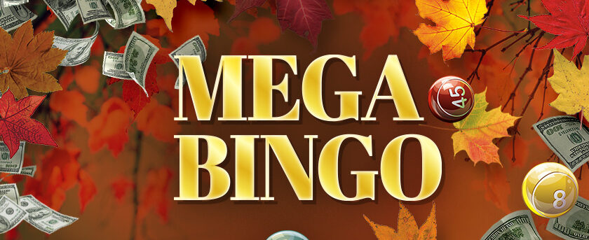 Image of Mega Bingo